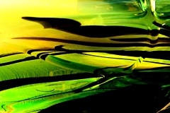 GRN-abstract-Wim