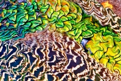 PW-abstract-Wim