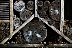 Insectenhotel-Wim