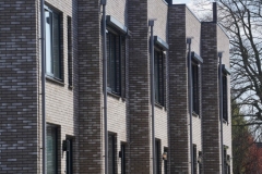 Lijnen_Sven_DSC04519