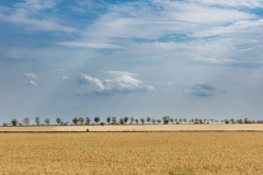 Horizontale-lijnen-Bram