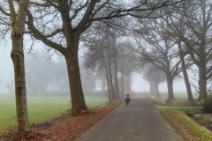 Fietsen-in-de-nevel_Roelof