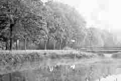 IMG_COM_202512142128094660_Wim