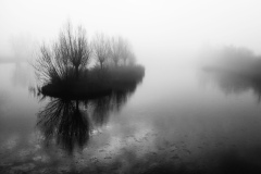 mist-kees