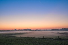 nevel-uiterwaarden-Vecht-Gert