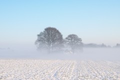 spooky-kopie-DSCF1325_Jaap