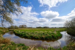 De-Reest-Gert_Gert