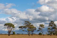 Engbertsdijkvenen-Coby