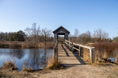Haarplas-Tina