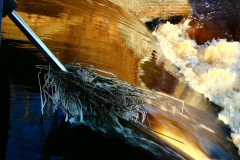 Vorst-Water-Planten-Wim