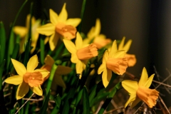 even-opladen_Rebekka