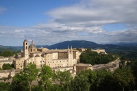 Zicht-op-Urbino-Gert