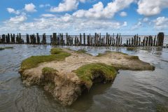 Waddenzee-Gert